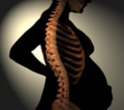 pregnanct-spine